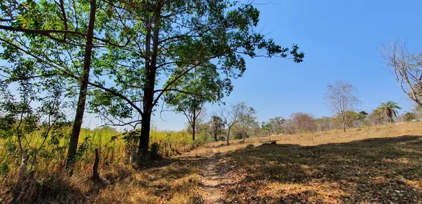 Terreno / Lote / Condomínio à venda, 20000m² no , Fortuna de Minas