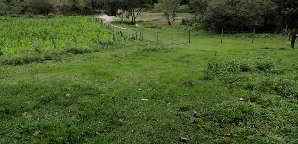Terreno / Lote / Condomínio à venda, 20000m² no , Fortuna de Minas