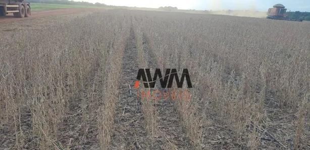 Fazenda / Sítio / Chácara à venda, 7018000m² no Centro, Divinópolis do Tocantins