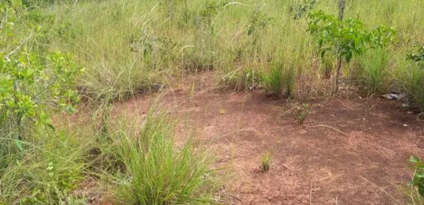 Terreno / Lote / Condomínio à venda, 740m² no Setor Central, Paranã