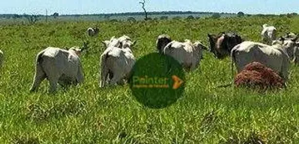 Fazenda / Sítio / Chácara à venda, 94750000m² no Parque da Barragem Setor 08, Águas Lindas de Goiás