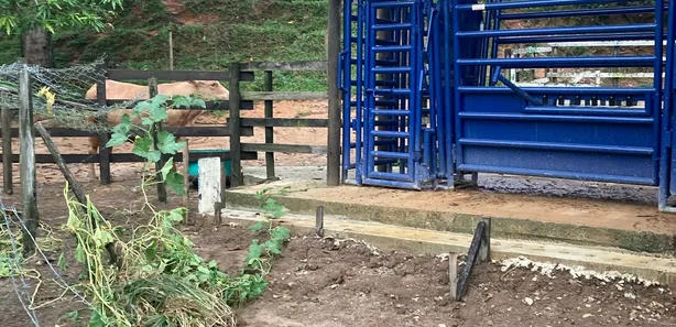 Fazenda / Sítio / Chácara com 7 Quartos à venda, 70000m² no Mantiquira, Duque de Caxias