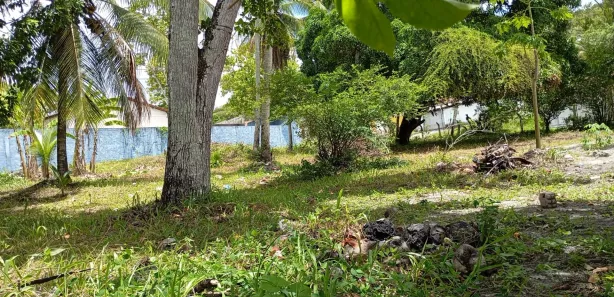 Terreno / Lote / Condomínio para venda ou aluguel, 2000m² no Cristo Rei, Dias d'Ávila