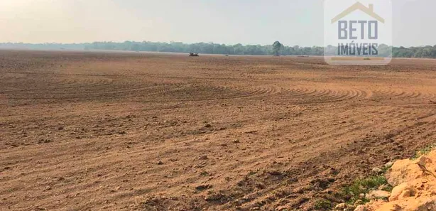 Fazenda / Sítio / Chácara à venda, 30201600m² no , Cristalândia