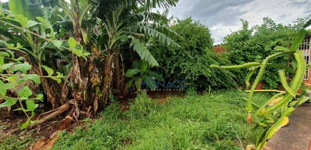 Casa com 3 Quartos à venda, 69m² no Santiago, Londrina