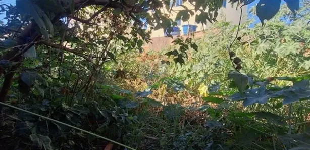 Terreno / Lote / Condomínio à venda, 200m² no Gávea, Vespasiano