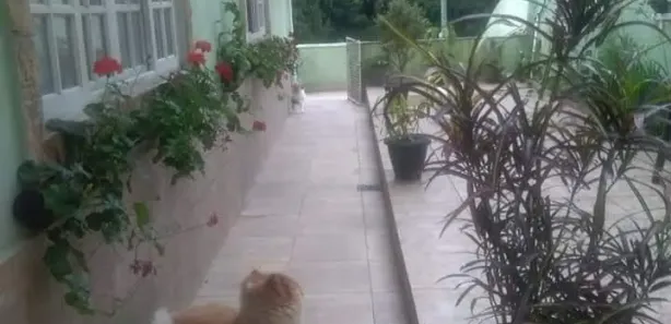 Casa com 2 Quartos à venda, 127m² no Centro, Petrópolis