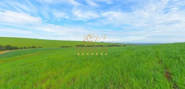 Fazenda / Sítio / Chácara com 4 Quartos à venda, 3146000m² no Colônia Dona Luíza, Ponta Grossa