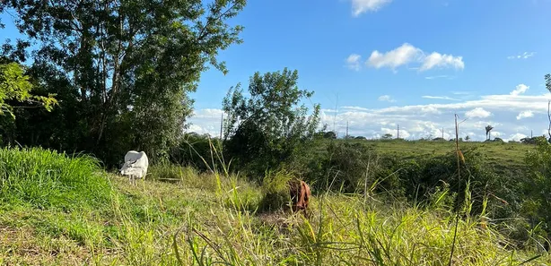Fazenda / Sítio / Chácara com 4 Quartos à venda, 60000m² no , Bananeiras