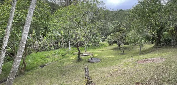 Fazenda / Sítio / Chácara com 4 Quartos à venda, 20000m² no Área Rural de Mogi das Cruzes, Mogi das Cruzes