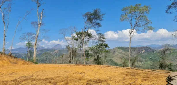 Terreno / Lote / Condomínio à venda, 2384m² no Pedro do Rio, Petrópolis