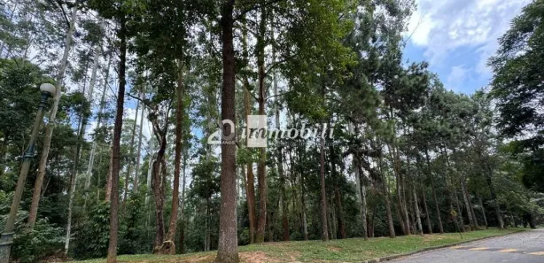 Terreno / Lote / Condomínio à venda, 3495m² no Moinho Velho, Embu das Artes