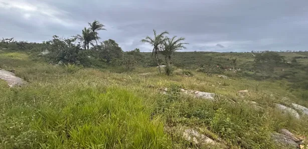 Fazenda / Sítio / Chácara à venda, 7200m² no , Sairé