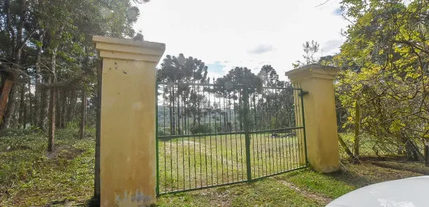 Fazenda / Sítio / Chácara à venda, 10000m² no Timbu, Campina Grande do Sul