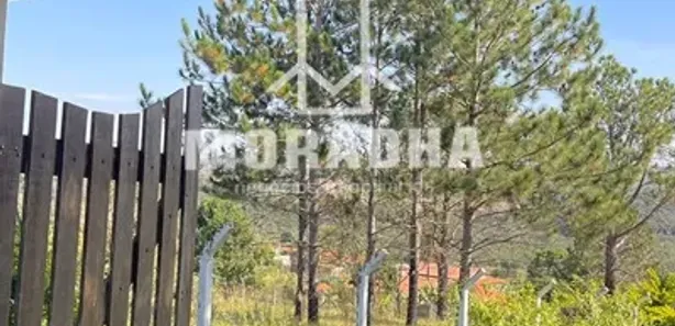Fazenda / Sítio / Chácara com 3 Quartos à venda, 350m² no Portal de Pirapora, Salto de Pirapora