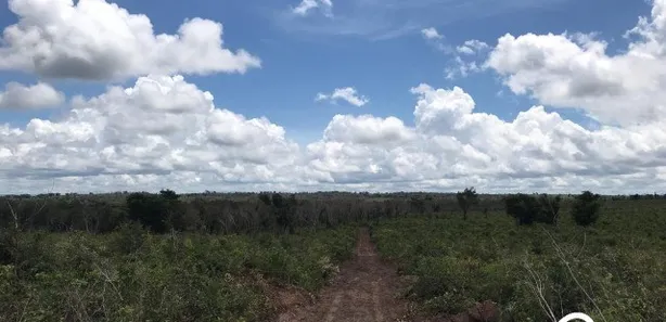 Fazenda / Sítio / Chácara à venda no , Guaraí