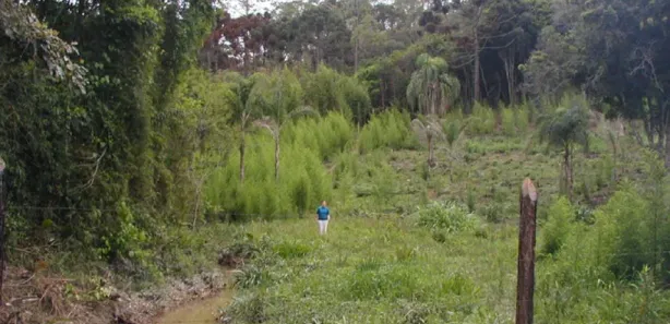 Terreno / Lote Comercial à venda, 67000m² no Aldeinha, Itapecerica da Serra
