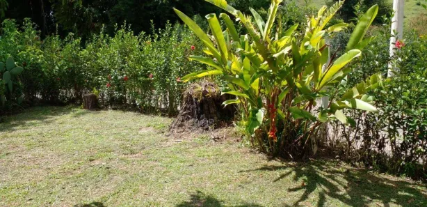 Fazenda / Sítio / Chácara com 3 Quartos à venda, 16000m² no Santa Luzia Rural, Taubaté