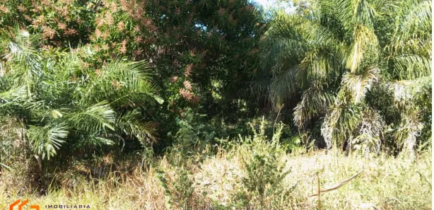 Fazenda / Sítio / Chácara com 2 Quartos à venda, 2772m² no Centro, Dois Irmãos do Buriti