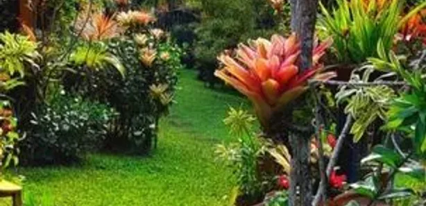 Casa com 3 Quartos à venda, 5712m² no Centro, Camaçari