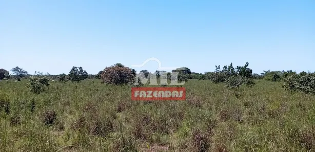 Fazenda / Sítio / Chácara à venda, 500m² no , Pium