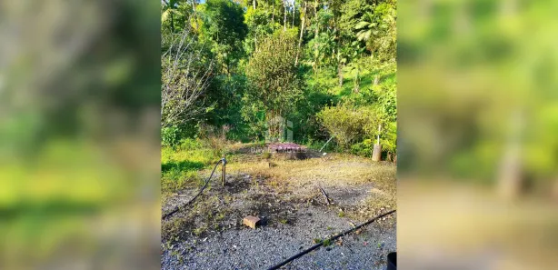 Fazenda / Sítio / Chácara com 3 Quartos à venda, 55000m² no , Campina Grande do Sul
