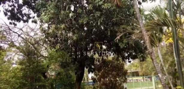 Fazenda / Sítio / Chácara com 3 Quartos à venda, 350m² no Chácara Cruzeiro do Sul, Sumaré