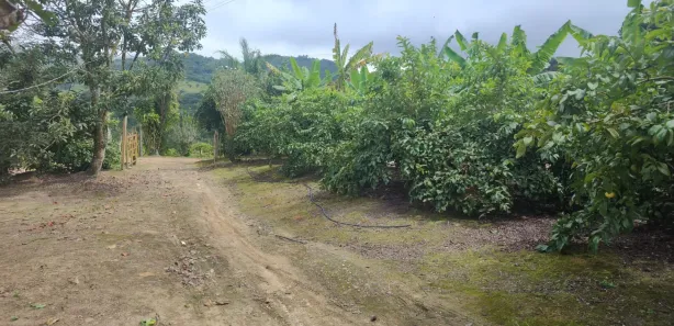Fazenda / Sítio / Chácara com 3 Quartos à venda, 80000m² no Alpes Suiços, Gravatá