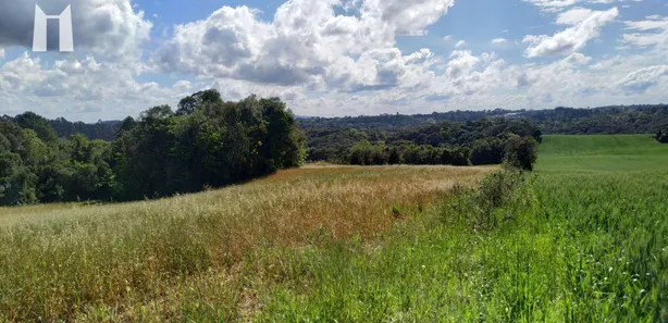 Terreno / Lote / Condomínio à venda, 96800m² no Rondinha, Campo Largo