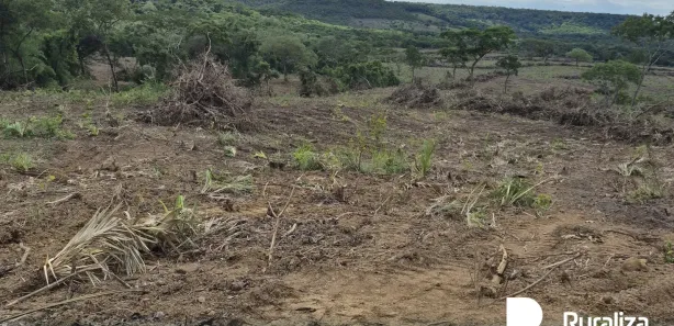 Fazenda / Sítio / Chácara à venda, 474m² no , Rio Sono