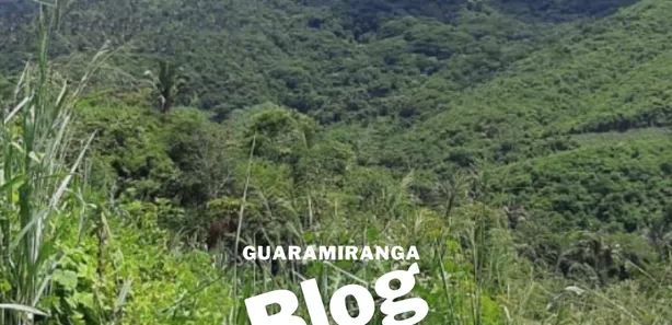 Fazenda / Sítio / Chácara à venda, 50m² no , Pacoti
