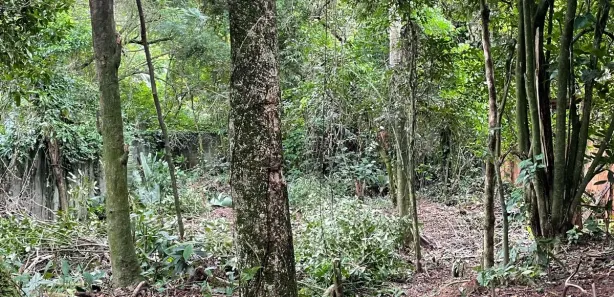 Terreno / Lote / Condomínio à venda, 583m² no Maresias, São Sebastião