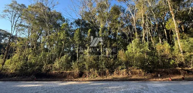 Terreno / Lote / Condomínio à venda, 450m² no Carniel, Gramado
