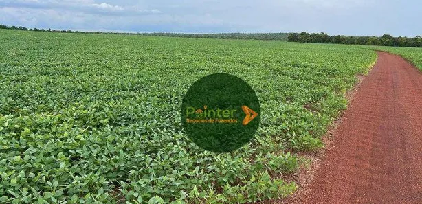 Fazenda / Sítio / Chácara à venda, 5030000m² no , Pedro Afonso