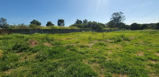 Terreno / Lote / Condomínio para venda ou aluguel, 9500m² no Chácaras São Martinho, Campinas