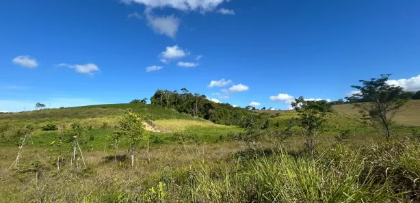 Fazenda / Sítio / Chácara à venda, 330000m² no , Sairé