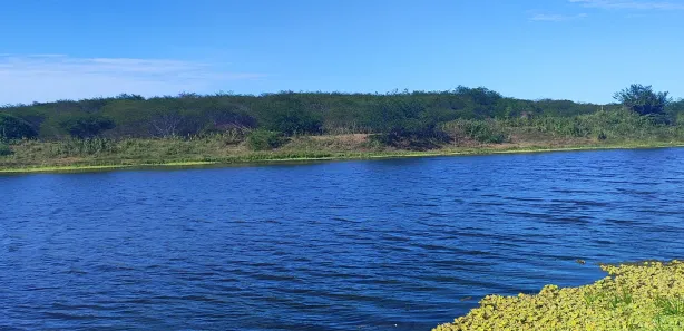 Fazenda / Sítio / Chácara com 4 Quartos à venda, 720000m² no , Brejinho