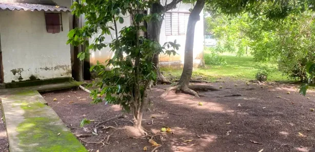 Fazenda / Sítio / Chácara com 3 Quartos à venda, 500000m² no Setor Nordeste, Formosa