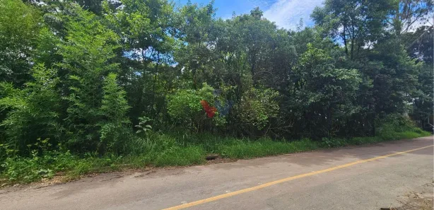 Fazenda / Sítio / Chácara com 1 Quarto à venda, 11000m² no São Miguel, Almirante Tamandaré
