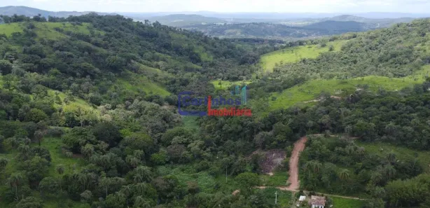 Terreno / Lote / Condomínio à venda, 20000m² no , Florestal