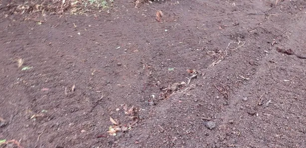 Fazenda / Sítio / Chácara à venda, 142m² no , Lagoa da Confusão