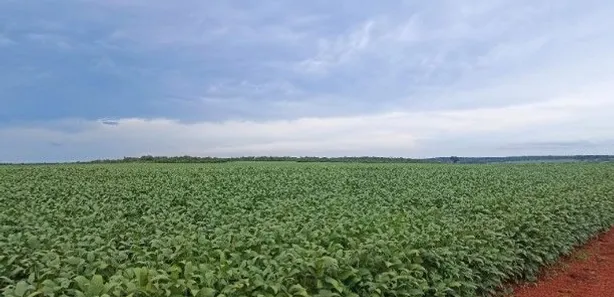 Fazenda / Sítio / Chácara à venda, 21500000m² no Centro, Paraíso do Tocantins