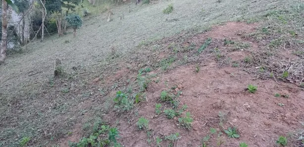 Terreno / Lote / Condomínio à venda, 647m² no Bingen, Petrópolis