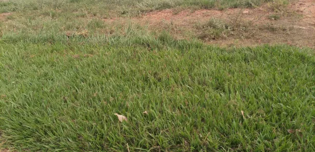 Terreno / Lote / Condomínio à venda, 681m² no Paranoá, Brasília