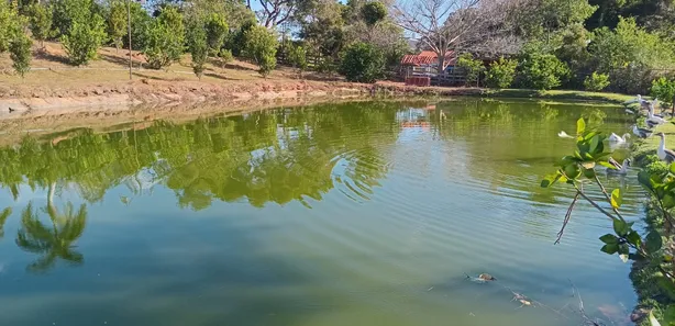 Fazenda / Sítio / Chácara com 3 Quartos à venda, 390000m² no Área Rural de Novo Gama, Novo Gama