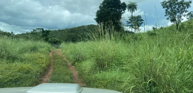 Fazenda / Sítio / Chácara com 1 Quarto à venda, 1873080m² no , Ponte Alta do Tocantins