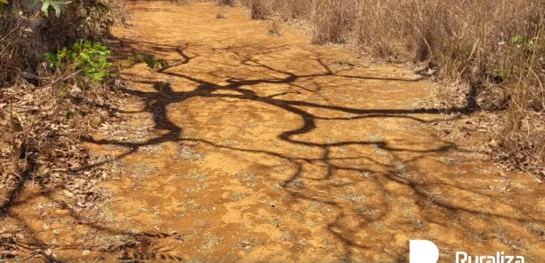 Fazenda / Sítio / Chácara à venda, 600m² no , Paraíso do Tocantins