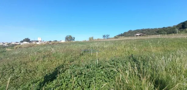 Fazenda / Sítio / Chácara à venda, 1750m² no , Assaí