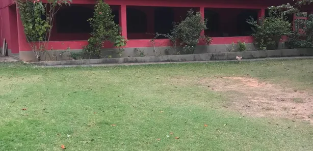 Fazenda / Sítio / Chácara com 8 Quartos à venda, 180m² no Santo Antônio, Duque de Caxias