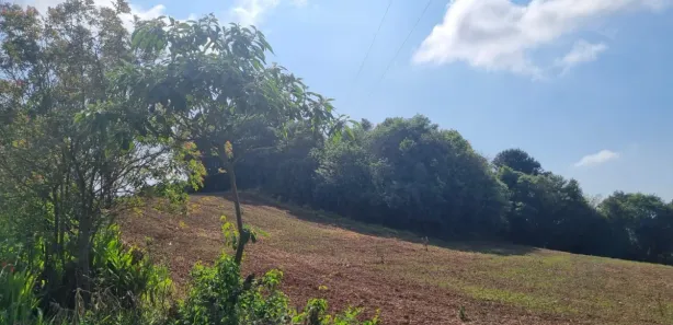 Terreno / Lote / Condomínio à venda, 60617m² no Cecilia, Campo Magro